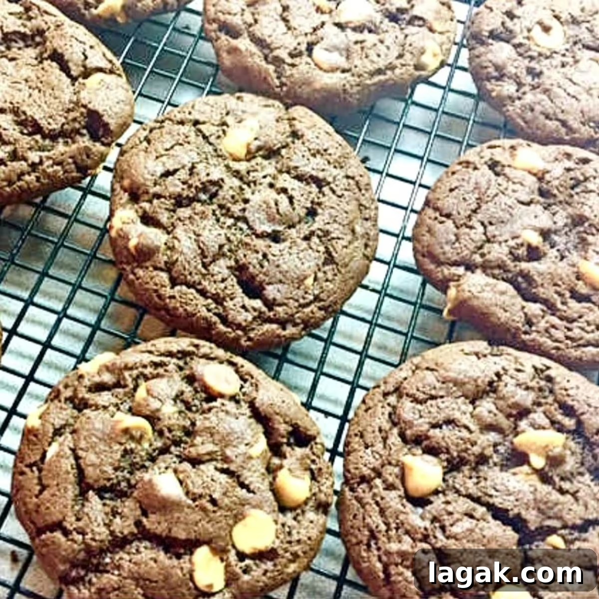 featured 11476