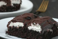 Gluten-Free, Dairy-Free Chocolate Bumpy Cake Recipe