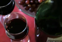 Wine 101: A Beginner’s Guide to Tasting, Buying, and Pairing