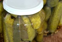 Quick Vinegar Pickles: Crispy Refrigerator Cucumber Recipe