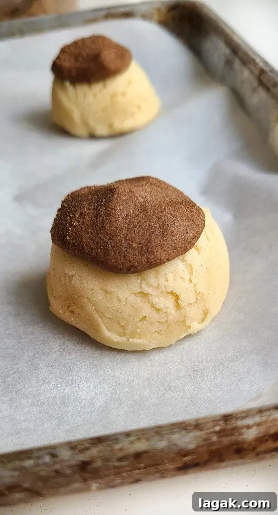 Cinnamon Roll Cookies Recipe — Soft Swirl Cookies You’ll Love 5 assembling the cinnamon roll cookies for the oven