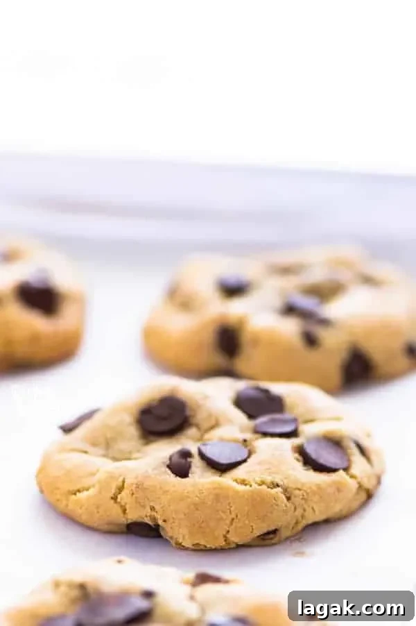 Gluten free chocolate chip cookies