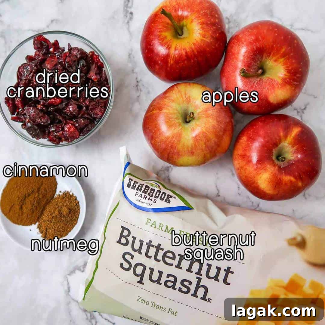 Slow Cooker Butternut Squash with Apples and Warm Spices 3 Overhead shot of ingredients- dried cranberries, apples, cinnamon, nutmeg, and butternut squash.