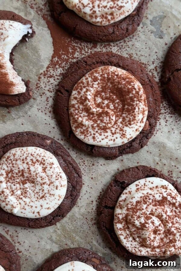 Tiramisu Chia Pudding with Creamy Yogurt — Quick Recipe 13 tiramisu cookies on a baking tray with cocoa powder dusting