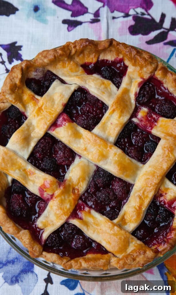 Blackberry Pie Cobbler Recipe: Classic Summer Dessert with Fresh Berries 4 Lattice top blackberry pie cobbler.