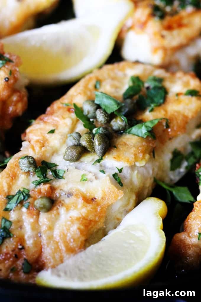 Pan Fried Cod with Meuniere Sauce close-up Close up shot with Meniere sauce and capers