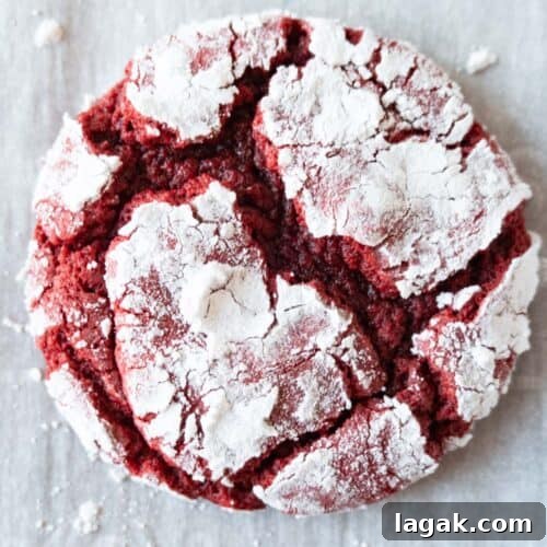red velvet crinkle cookie featured image