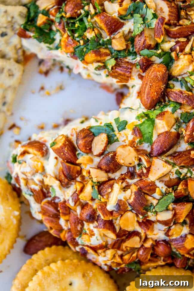 Smoky Almond Cream Cheese Endive Bites for Elegant Appetizers 8 Asian Cheese Ball from The Food Charlatan