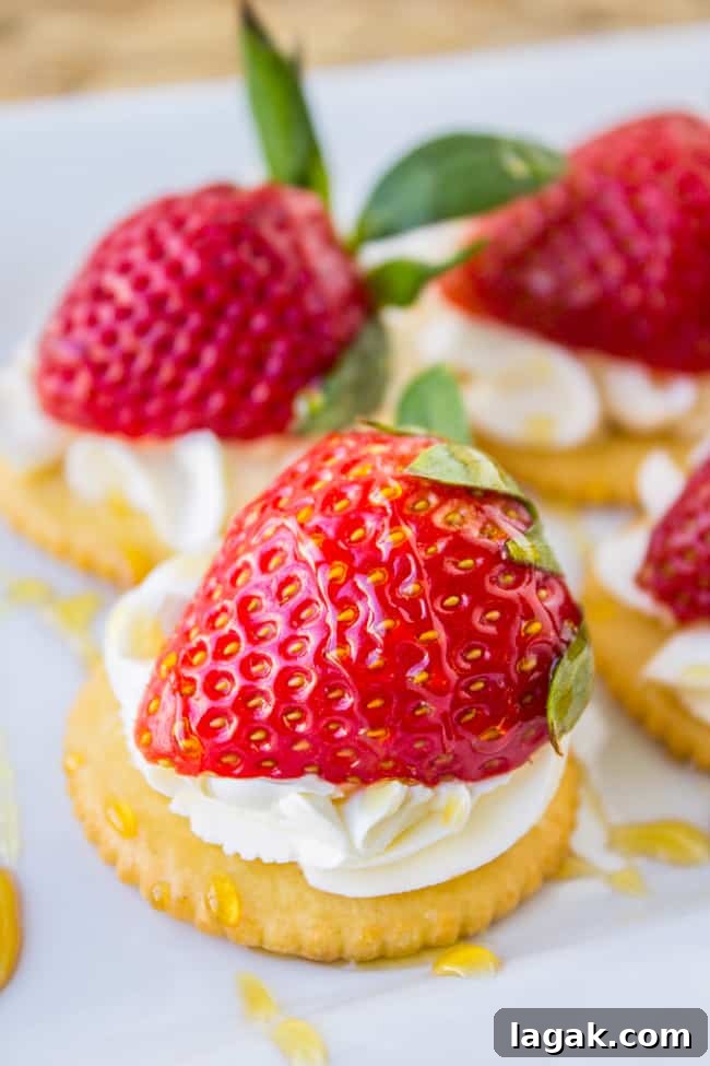 Smoky Almond Cream Cheese Endive Bites for Elegant Appetizers 9 Easy Strawberries and Cream Appetizer from The Food Charlatan