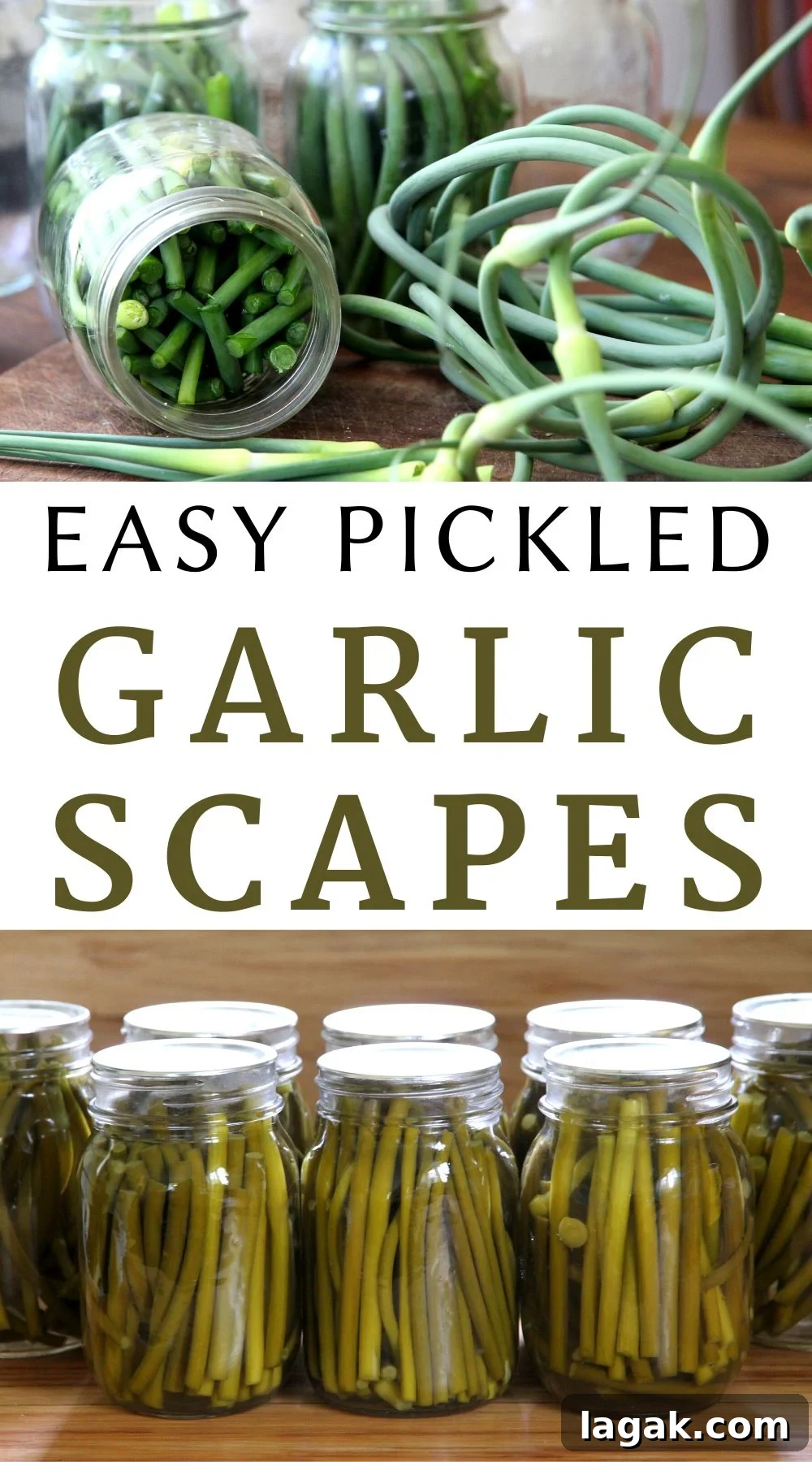 How to Can Pickled Garlic Scapes: Step-by-Step Guide 5 Learn how to make easy pickled garlic scapes in the water bath canner