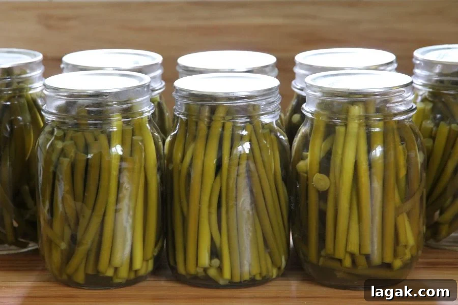 How to Can Pickled Garlic Scapes: Step-by-Step Guide 6 a row of 7 pint jars filled with pickled garlic scape stems