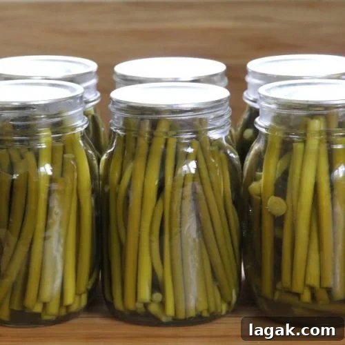 How to Can Pickled Garlic Scapes: Step-by-Step Guide 7 a row of 7 pint jars filled with pickled garlic scape stems