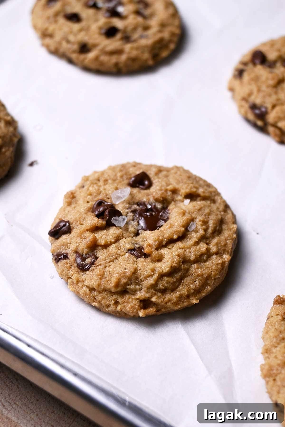 Chewy Oat Flour Chocolate Chip Cookies Recipe 6 gluten free chocolate chip cookies with sea salt flakes