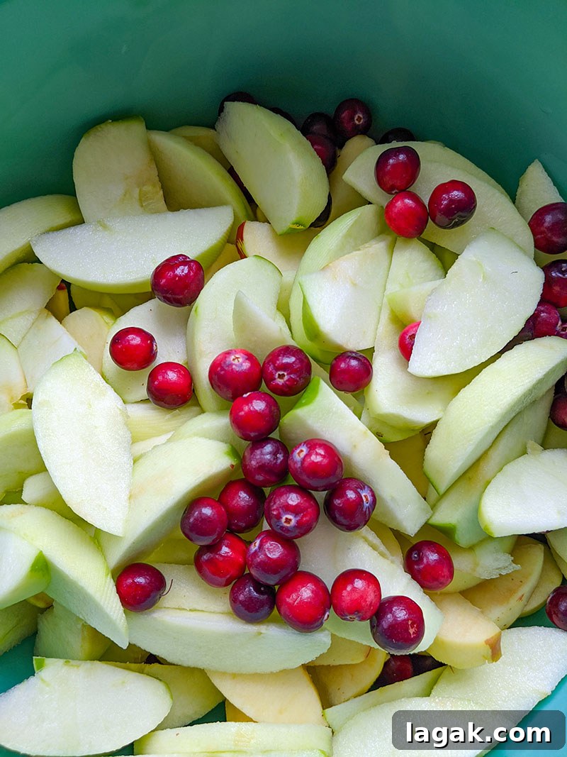 Apple and Cranberry Tart