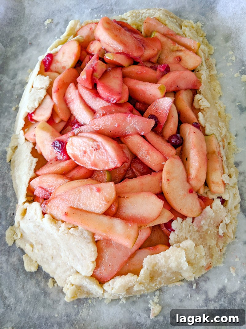 Apple and Cranberry Tart