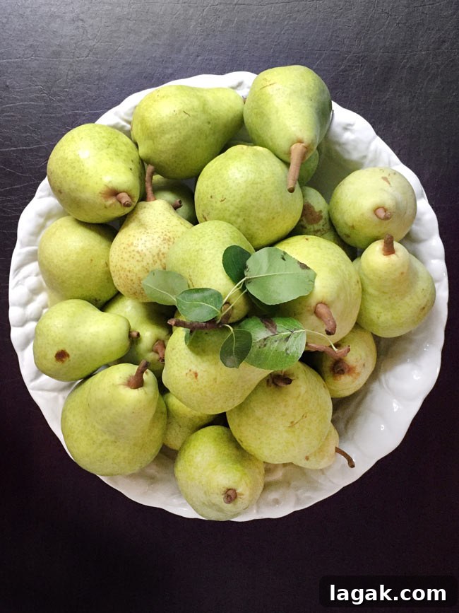 Ginger-Cinnamon Olive Oil Pear Cake Recipe 3 Fresh pears in white bowl.
