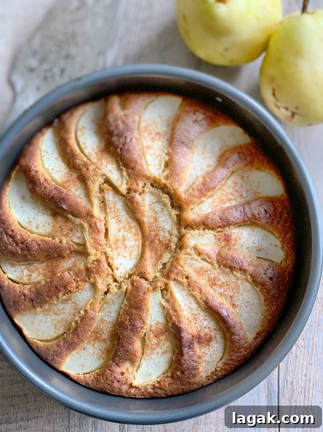 Ginger-Cinnamon Olive Oil Pear Cake Recipe 5 Pear cake in pan with two whole sliced pears.