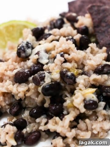 Black beans and rice with a lime wedge and a few blue tortilla chips on a white plate.