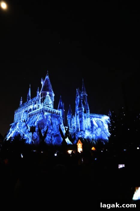 Universal Orlando Holiday Events and Seasonal Attractions 2026 4 Light projection on Hogwarts Castle