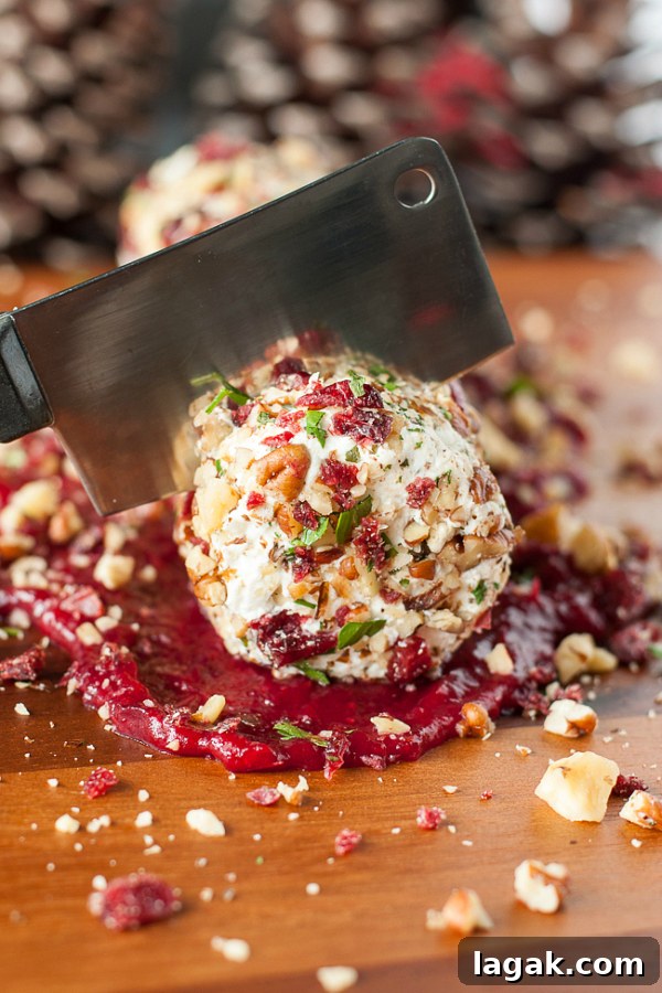 Cranberry Goat Cheese Log with Walnuts, Pecans, and Parsley