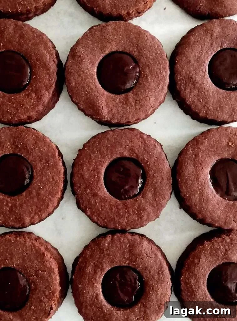 double chocolate sandwich cookies filled and assembled overhead image