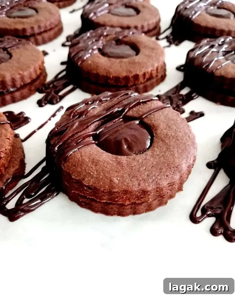 double chocolate sandwich cookies sandwiched and drizzled with more chocolate on top