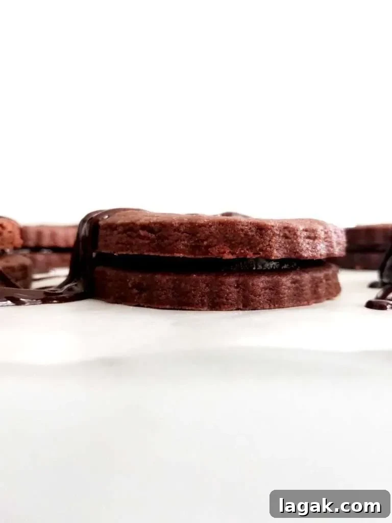 double chocolate sandwich cookies side view (1)