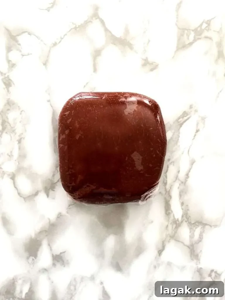 double chocolate sandwich cookies dough wrapped in plastic wrap