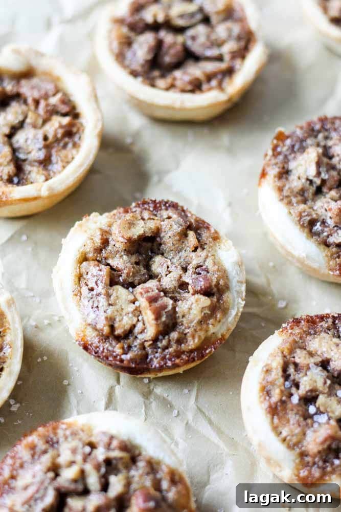 Mini pecan pies are the perfect, bite-sized dessert recipe! These easy pies are filled with pecans and topped with whipped cream. They're a great recipe for a crowd! mini pecan pie