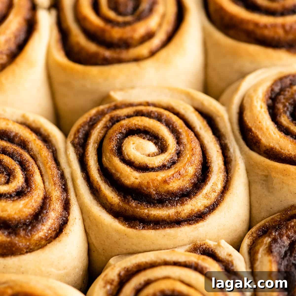 Cinnamon Roll Recipe That Beats Cinnabon: Gooey Overnight Rolls 2 8 cinnamon rolls in a baking pan without frosting