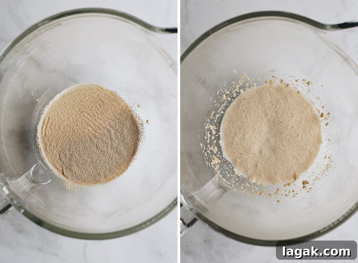 Yeast Proofing two photos showing How to make cinnamon rolls - yeast proofing