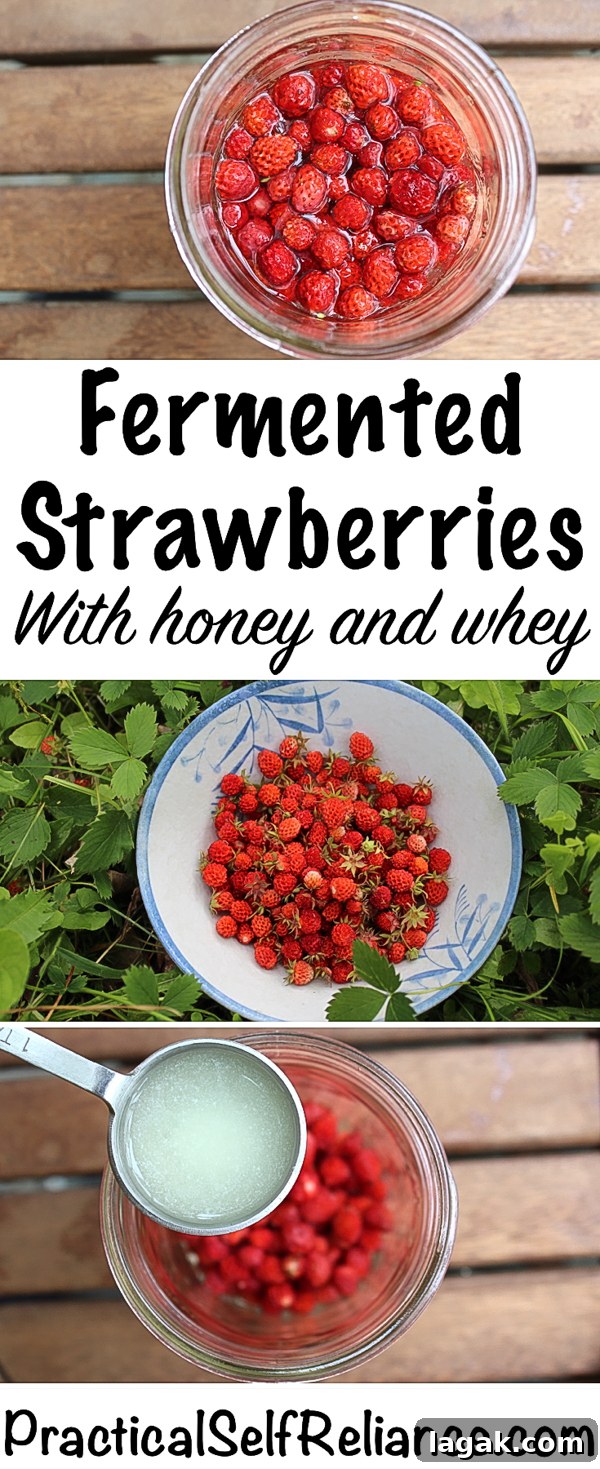 Fermented Strawberries with Honey and Whey
