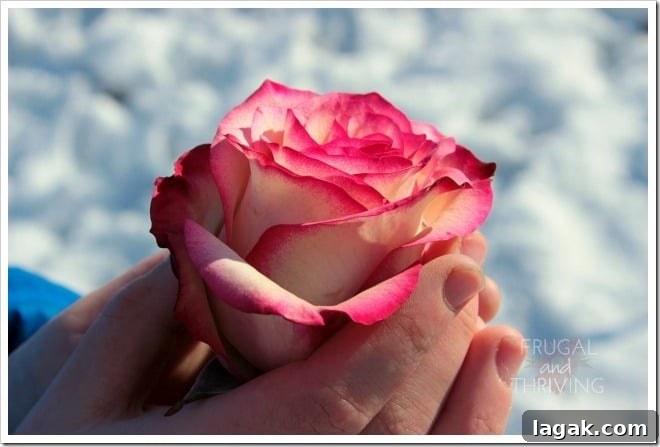 6 Essential Truths to Refill Your Energy and Grow into a Better You 2 how to fill your cup