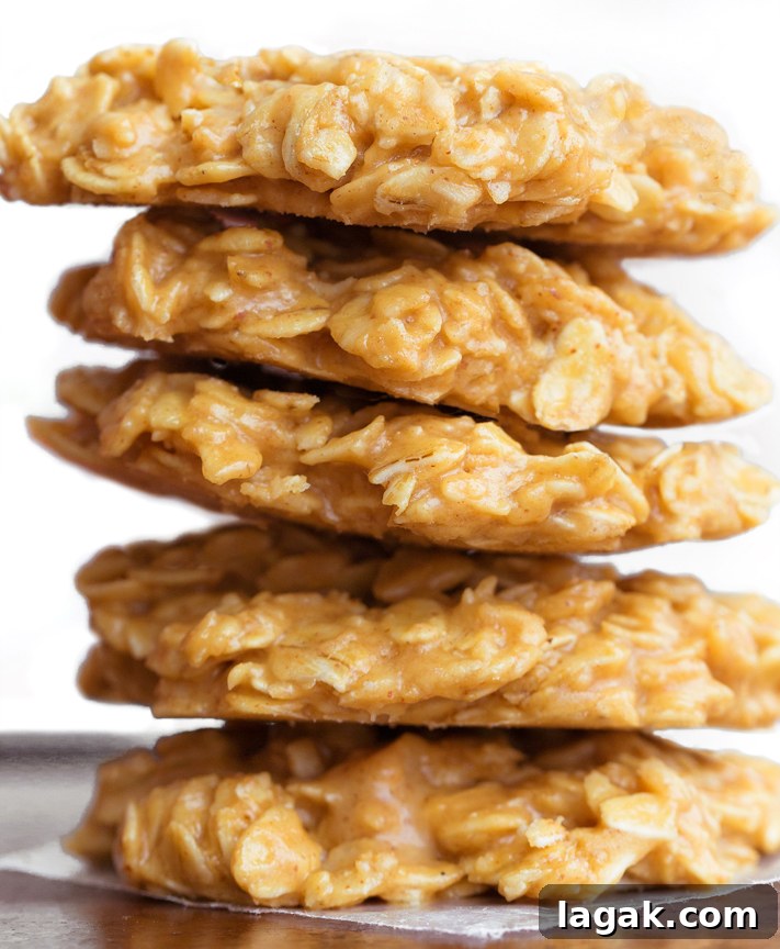 Peanut Butter No Bake Cookie Recipe Peanut Butter No Bake Cookie Recipe