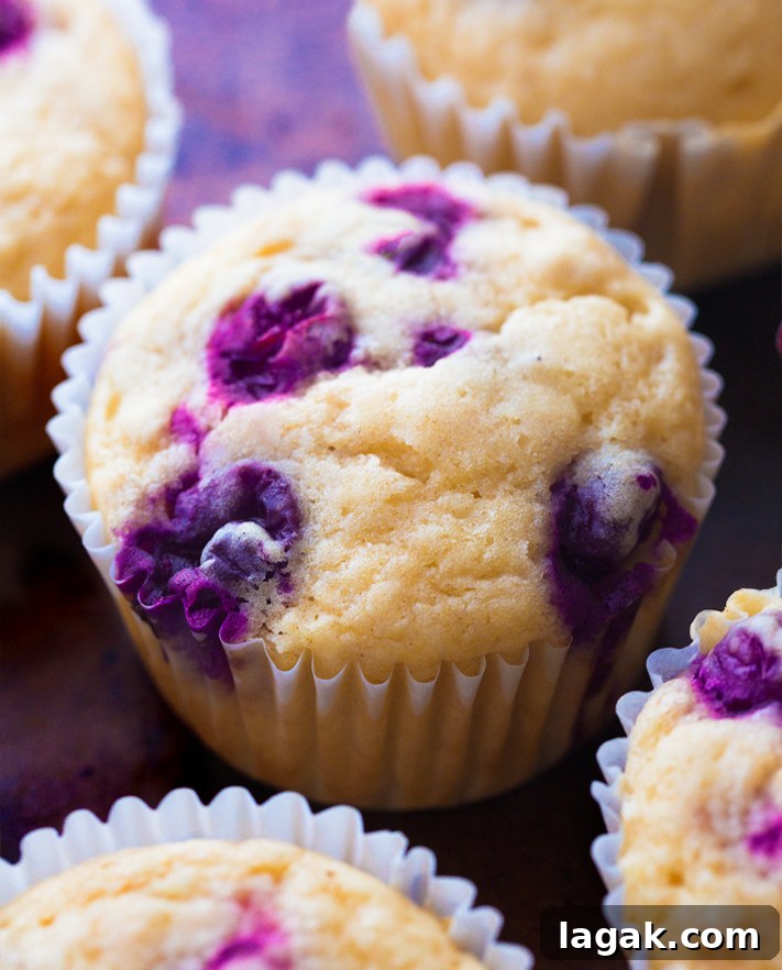 Easy Vegan Blueberry Muffins Easy Vegan Blueberry Muffins