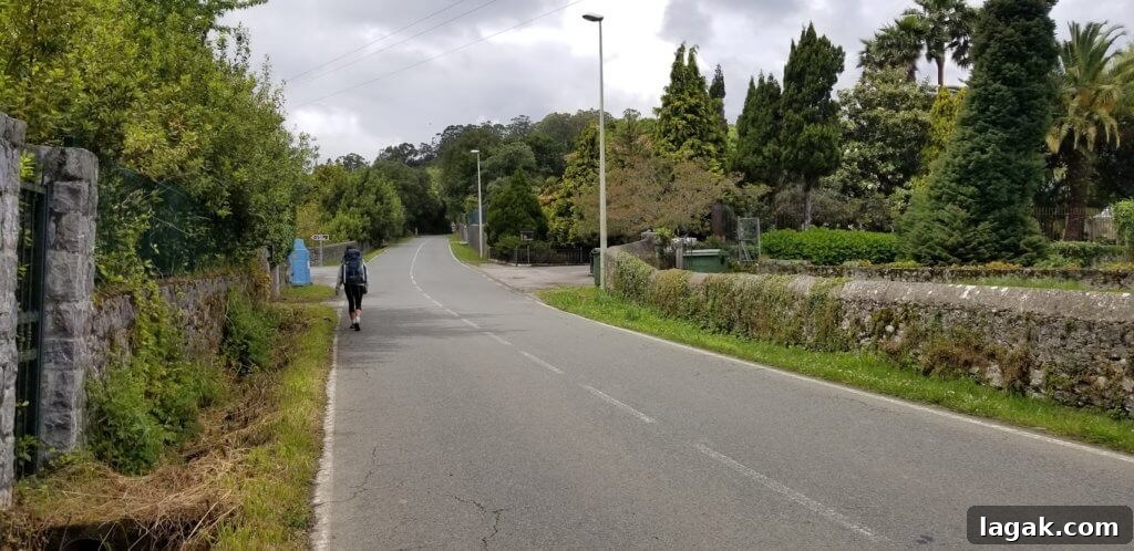 Hiking the Camino de Santiago with Celiac Disease: A Practical Guide 16 Jen on the camino de santiago gluten-free