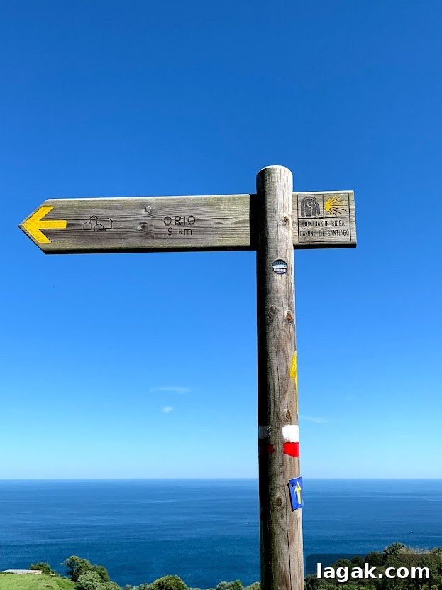 Hiking the Camino de Santiago with Celiac Disease: A Practical Guide 18 img 14825 19