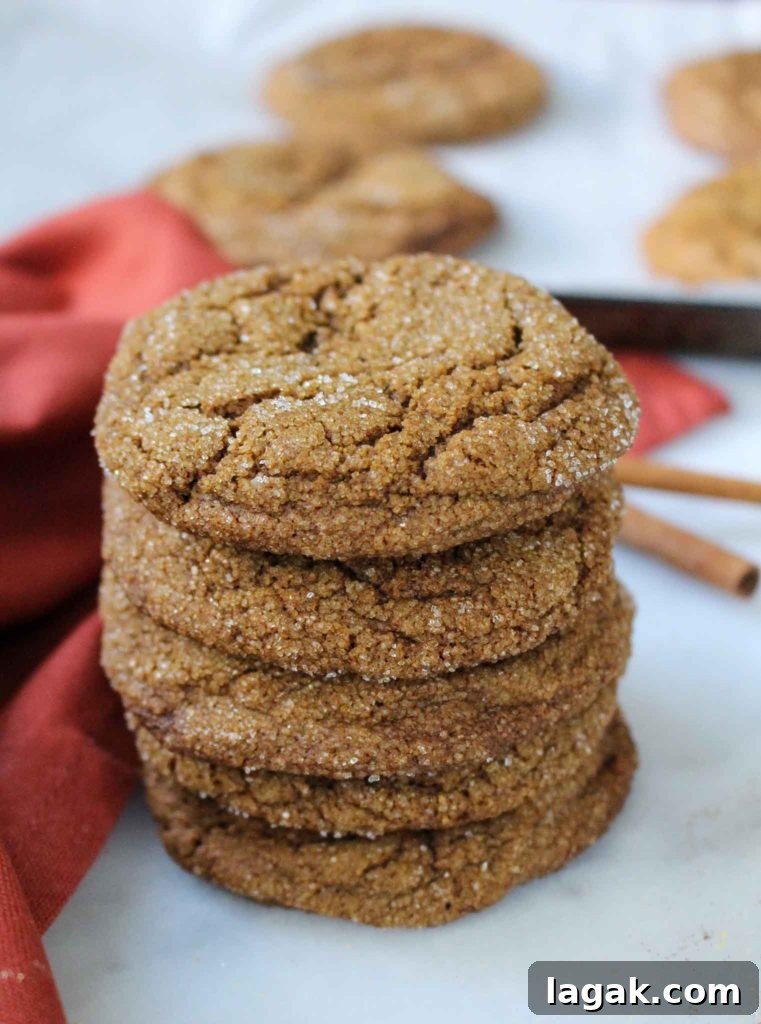 Gluten-Free Ginger Cookies — Nut-Free Recipe for Crisp, Spiced Cookies 2 Gluten Free Ginger Cookies Stacked