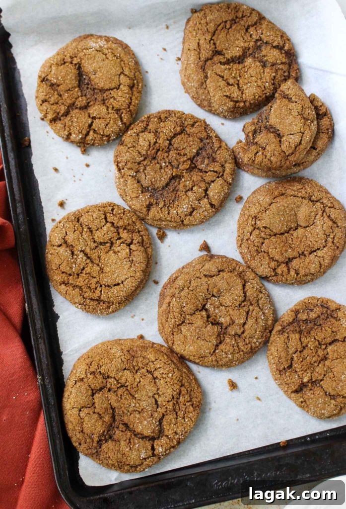 Gluten-Free Ginger Cookies — Nut-Free Recipe for Crisp, Spiced Cookies 3 Gluten Free Ginger Cookies
