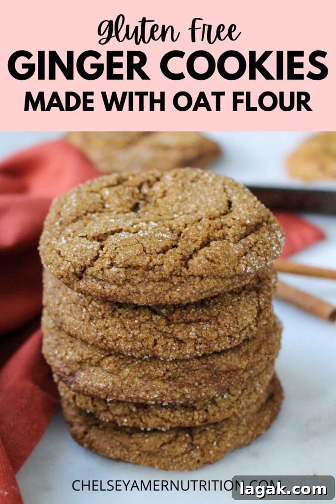 Gluten-Free Ginger Cookies — Nut-Free Recipe for Crisp, Spiced Cookies 7 Pin stack of cookies