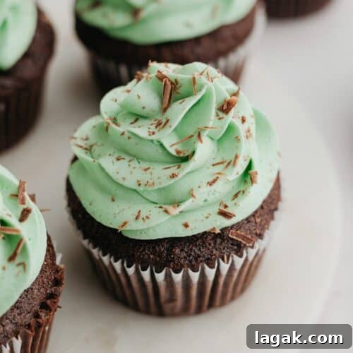 Chocolate cupcakes with green frosting.