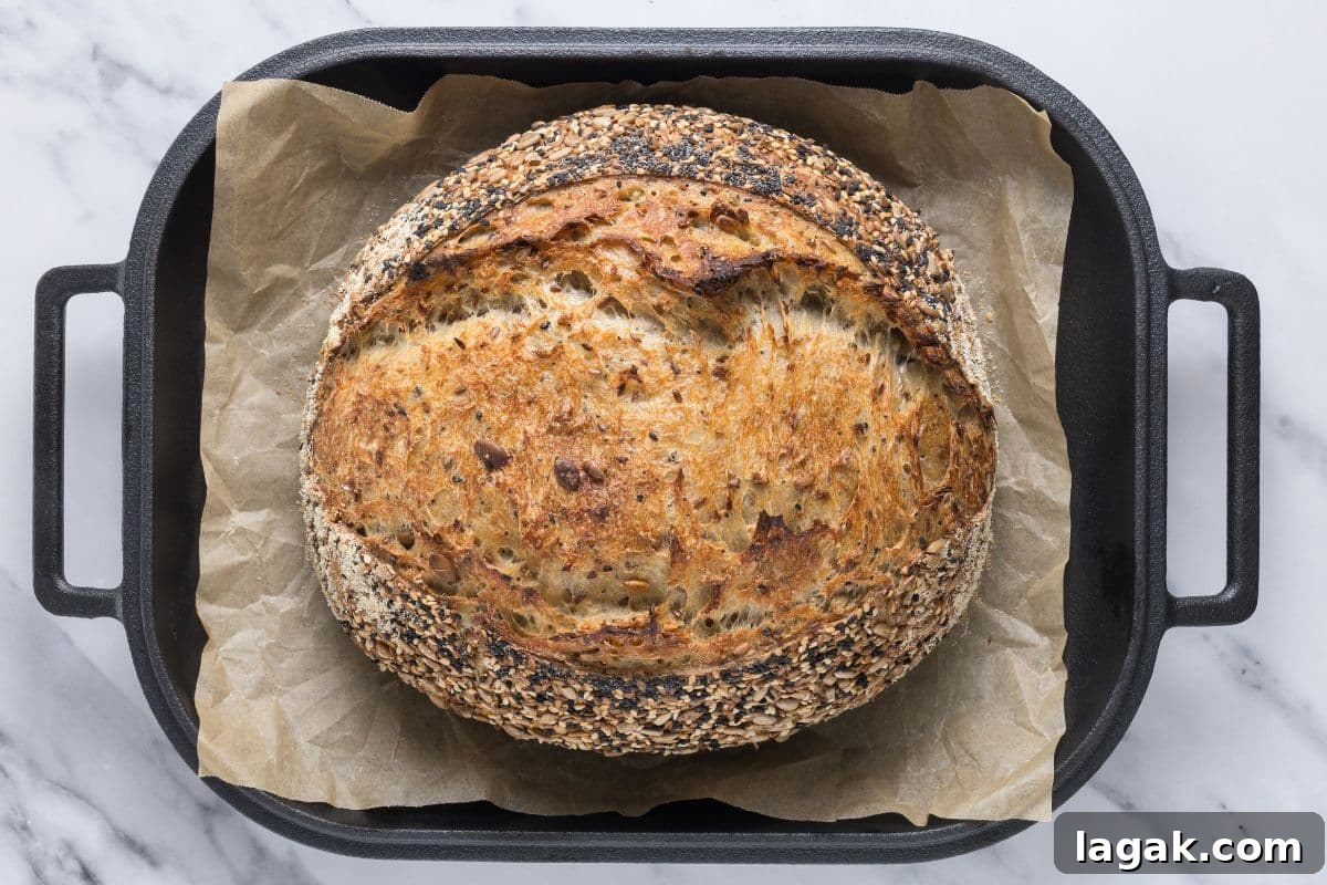 Multigrain Sourdough Bread: Step-by-Step Artisan Recipe 11 A fresh baked loaf of multigrain sourdough bread in a parchment lined bread pan.