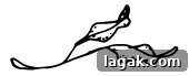 img 17289 3