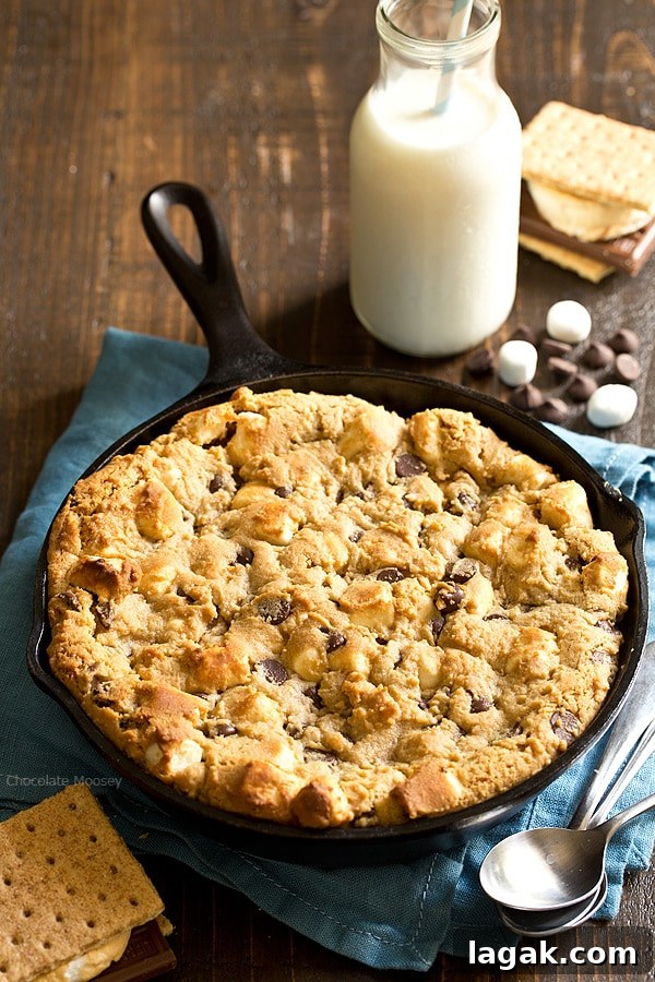 Gooey Chocolate Chip Skillet Cookie Recipe for Sharing 2 The taste of s'mores right from your oven! Peanut Butter S'mores Chocolate Chip Skillet Cookie combines graham crackers, toasted marshmallows, chocolate chips, and peanut butter into one heavenly dessert.