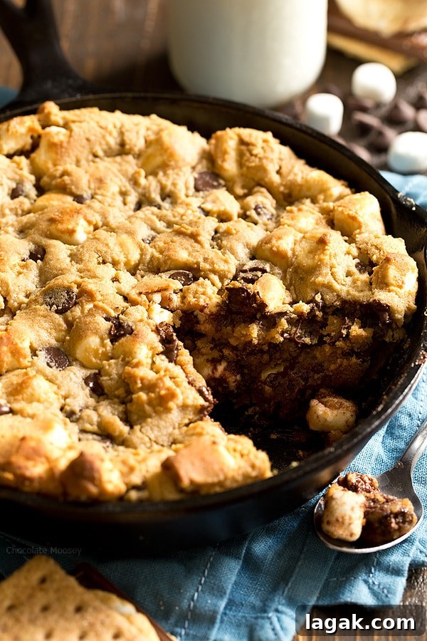 Gooey Chocolate Chip Skillet Cookie Recipe for Sharing 5 The taste of s'mores right from your oven! Peanut Butter S'mores Chocolate Chip Skillet Cookie combines graham crackers, toasted marshmallows, chocolate chips, and peanut butter into one heavenly dessert.
