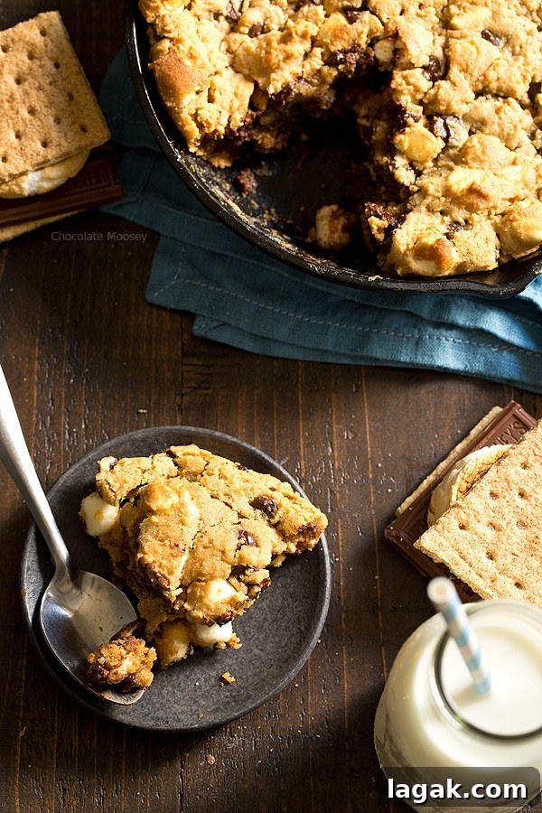 Gooey Chocolate Chip Skillet Cookie Recipe for Sharing 6 The taste of s'mores right from your oven! Peanut Butter S'mores Chocolate Chip Skillet Cookie combines graham crackers, toasted marshmallows, chocolate chips, and peanut butter into one heavenly dessert.