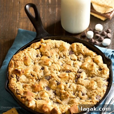 Peanut Butter S’mores Chocolate Chip Skillet Cookie