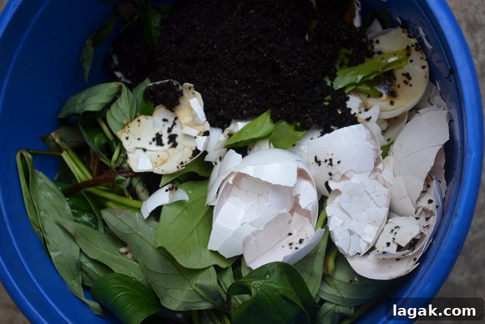 Kitchen Compost Bins: Smart Indoor Solutions for Food Scraps 2 compost materials