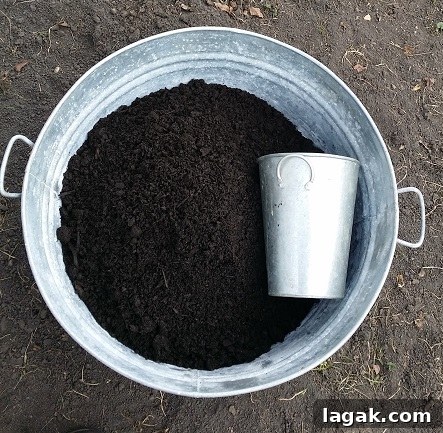 Kitchen Compost Bins: Smart Indoor Solutions for Food Scraps 4 what good compost looks like