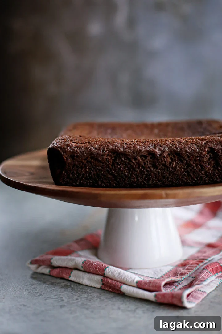 Chocolate Gingerbread Cake Recipe — Moist & Rich Flavor 4 photo of a chocolate gingerbread cake on a cake steand